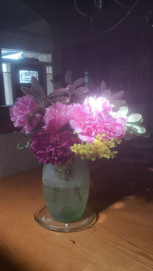Sunlight Reflection on Peonies Pittosporum Variegated Yellow Barberry Snowball Viburnum